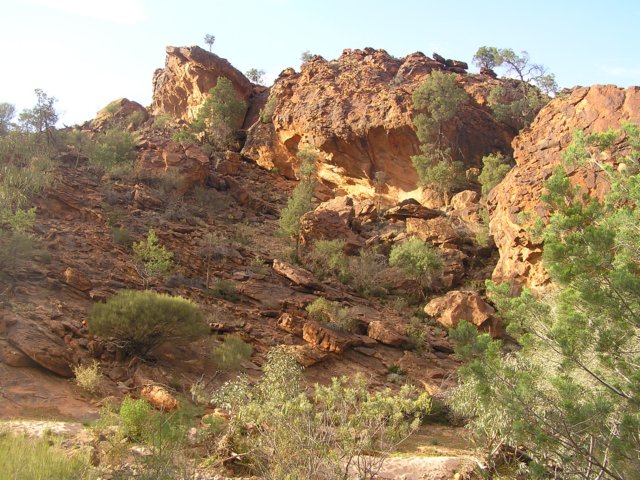 tagalong382.jpg