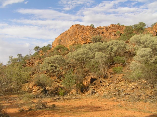 tagalong384.jpg