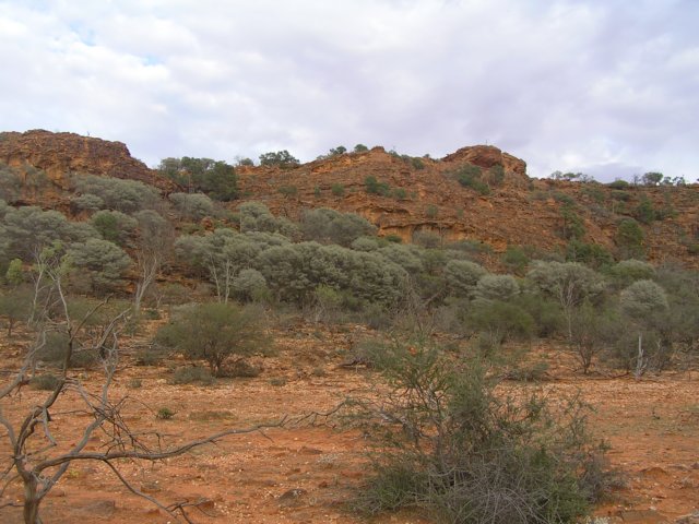 tagalong385.jpg