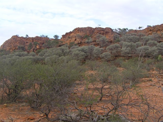 tagalong386.jpg
