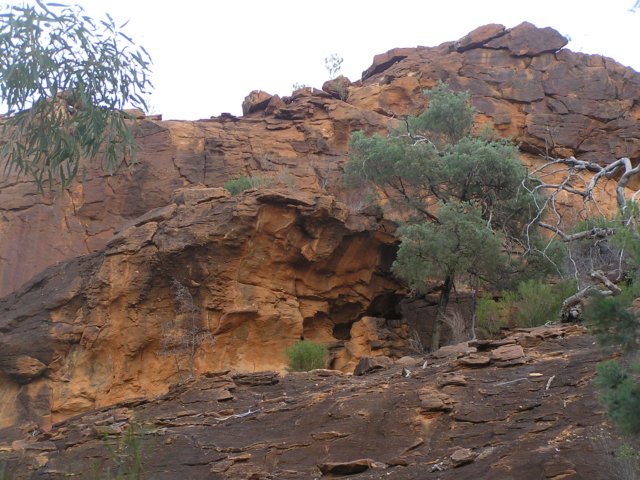 tagalong393.jpg
