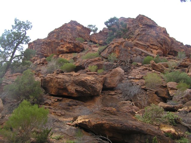 tagalong396.jpg