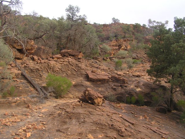tagalong402.jpg