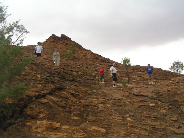 tagalong403.jpg