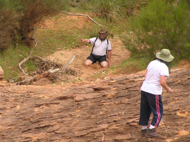 tagalong405.jpg