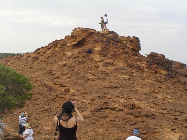 tagalong407.jpg