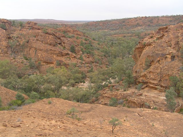 tagalong410.jpg