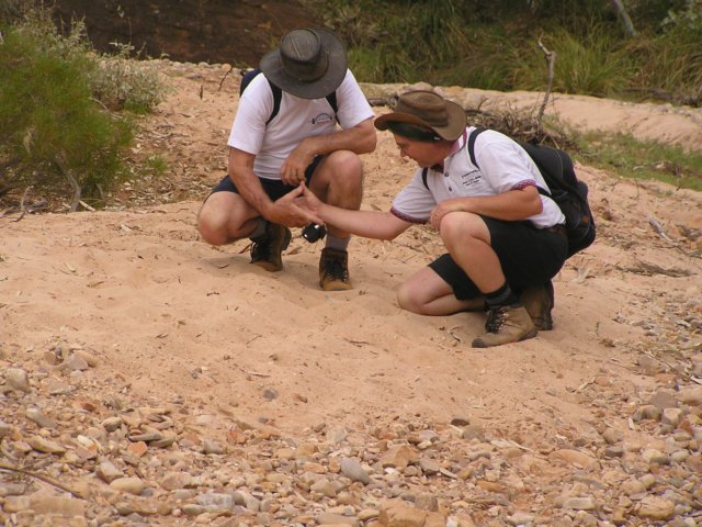 tagalong415.jpg