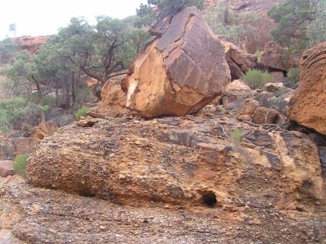 tagalong416.jpg