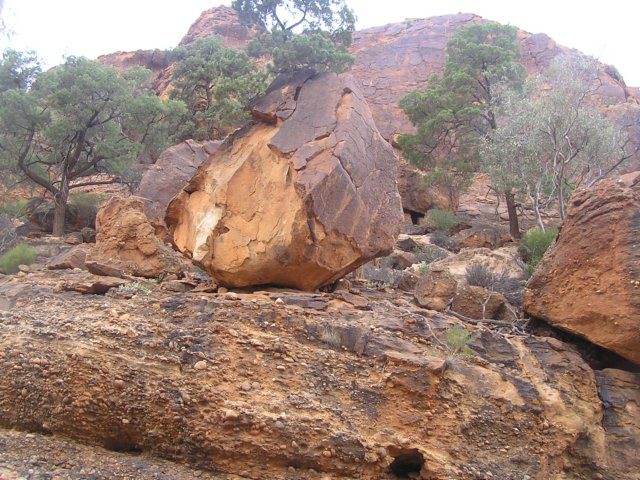 tagalong417.jpg