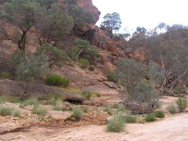 tagalong419.jpg