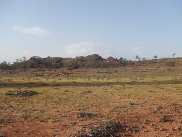 tagalong433.jpg