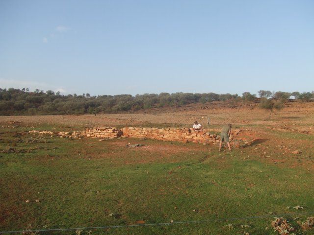 tagalong441.jpg