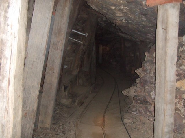 tagalong475.jpg