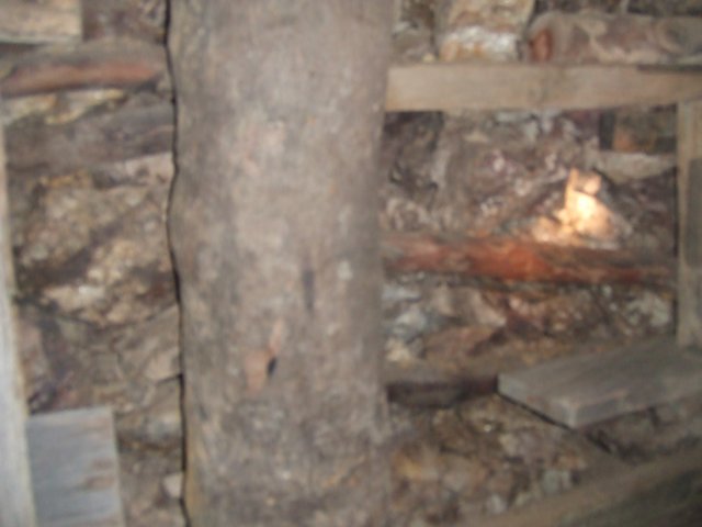 tagalong476.jpg