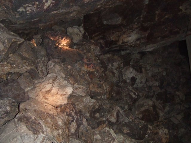 tagalong478.jpg