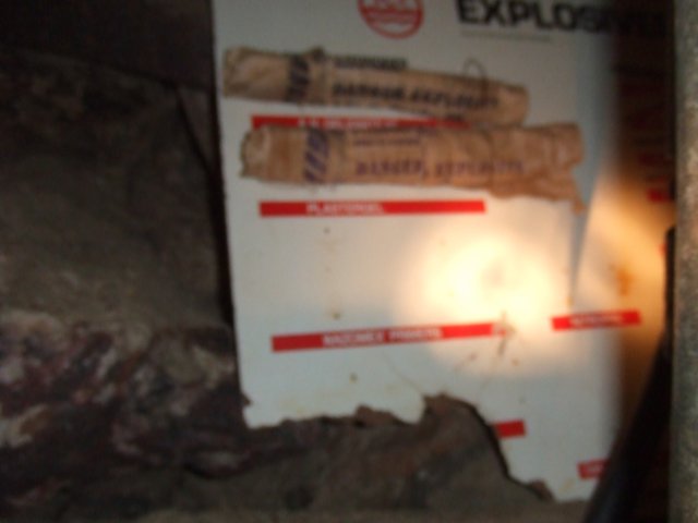 tagalong481.jpg