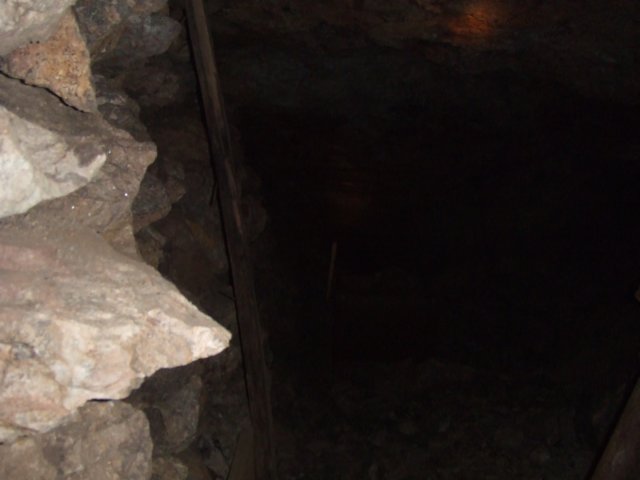 tagalong486.jpg