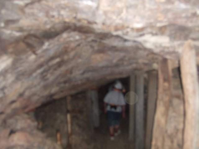 tagalong488.jpg