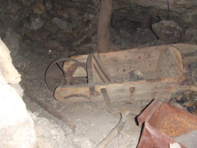 tagalong493.jpg