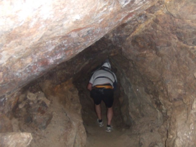 tagalong497.jpg