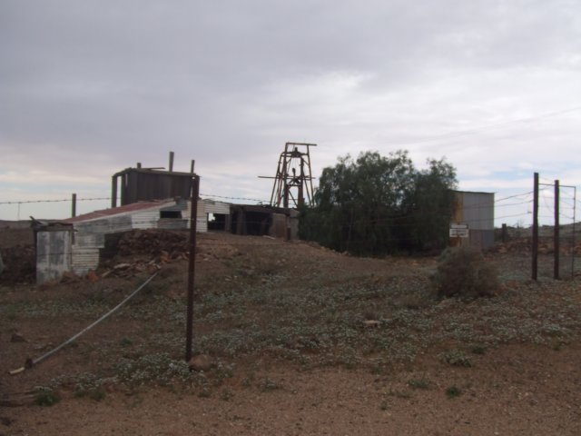 tagalong505.jpg