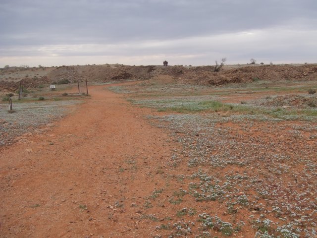 tagalong510.jpg