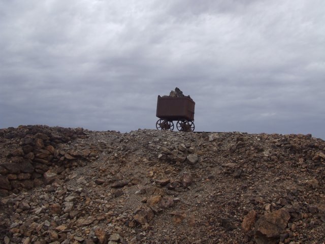tagalong515.jpg