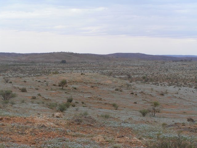 tagalong559.jpg