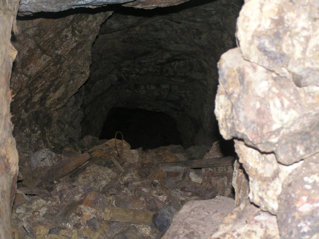 tagalong562.jpg