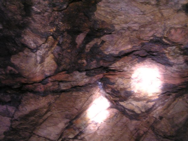tagalong567.jpg