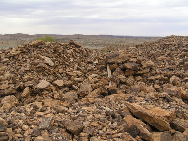 tagalong570.jpg