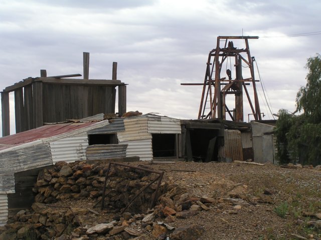 tagalong572.jpg
