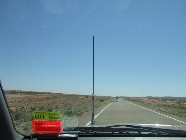 tagalong590.jpg