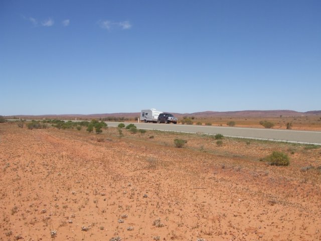tagalong594.jpg