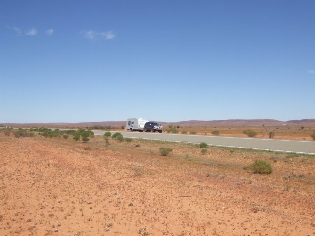 tagalong595.jpg