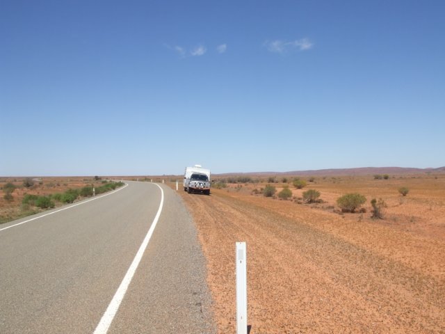 tagalong597.jpg
