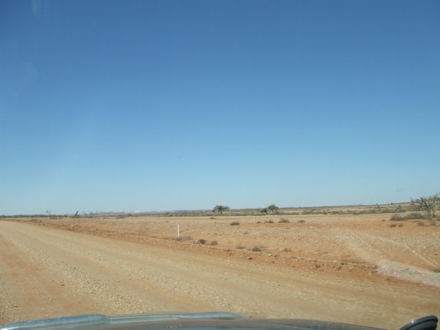 tagalong617.jpg