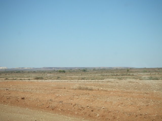 tagalong618.jpg