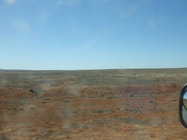 tagalong619.jpg