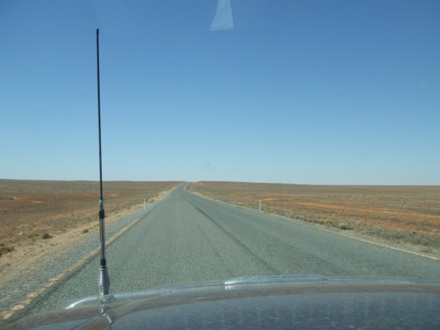 tagalong624.jpg