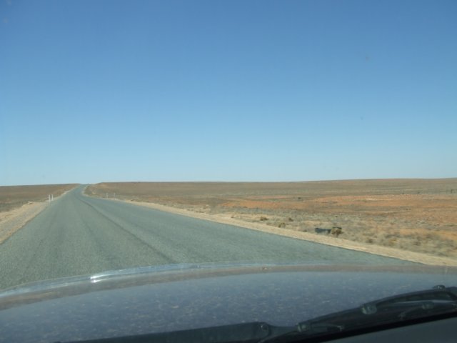 tagalong625.jpg