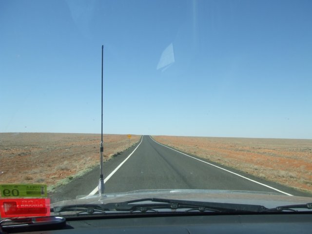tagalong629.jpg