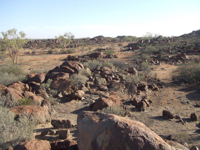 tagalong649.jpg