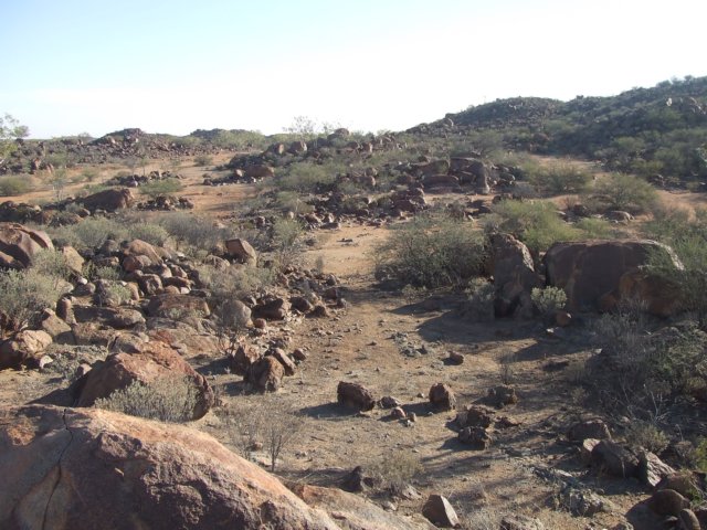 tagalong651.jpg