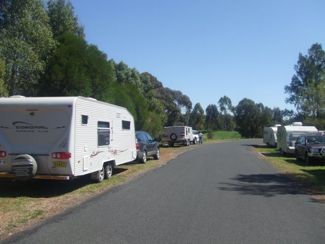 tagalong67.jpg