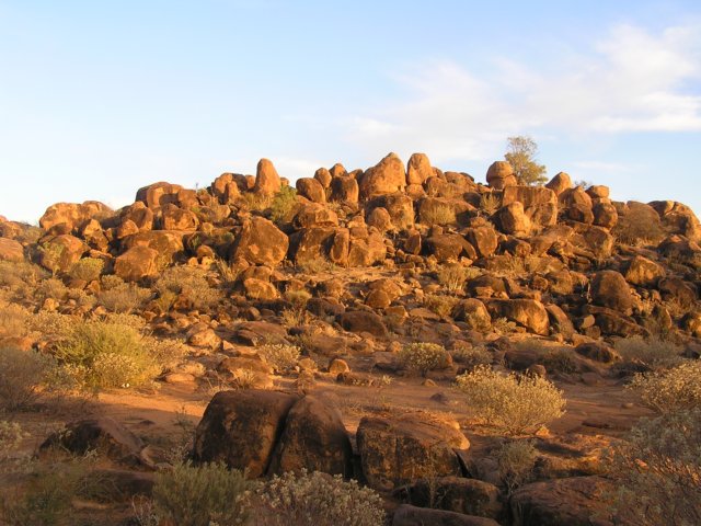 tagalong671.jpg