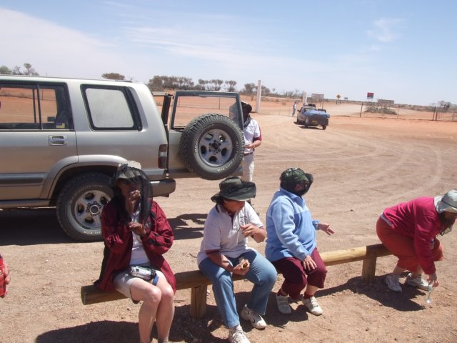 tagalong722.jpg