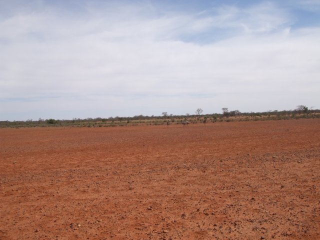 tagalong738.jpg