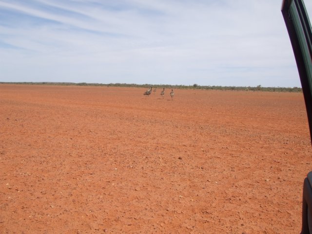 tagalong742.jpg